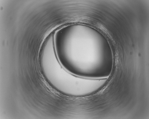 X0000056330876200508260823