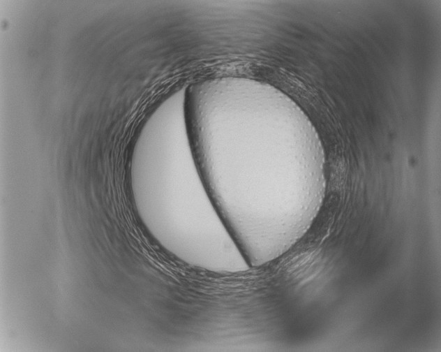 X0000056330913200508260822