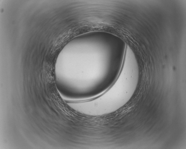 X0000056330916200508260822