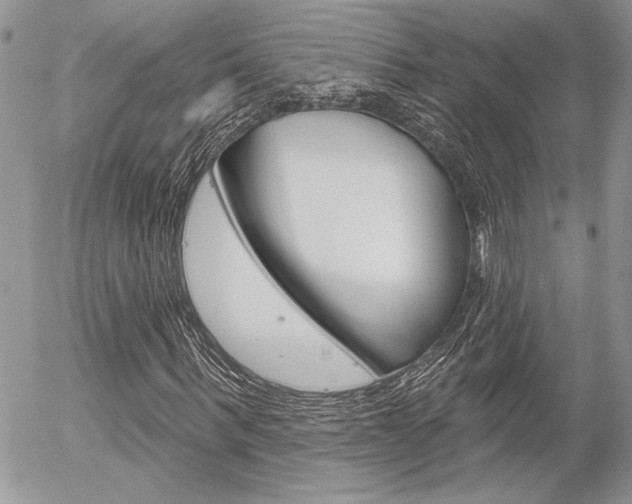 X0000056330963200508260822