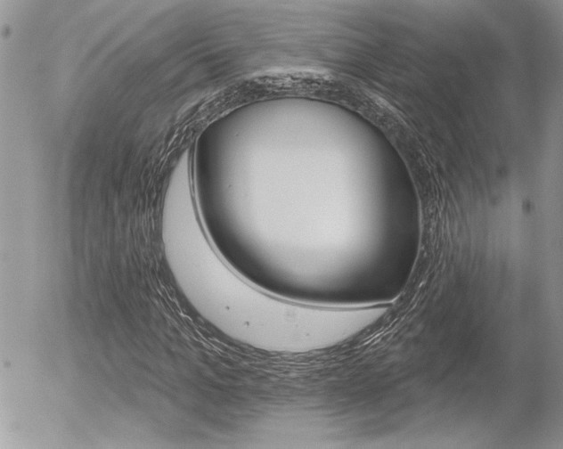 X0000056330965200508260822