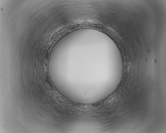 X0000056330966200508260822