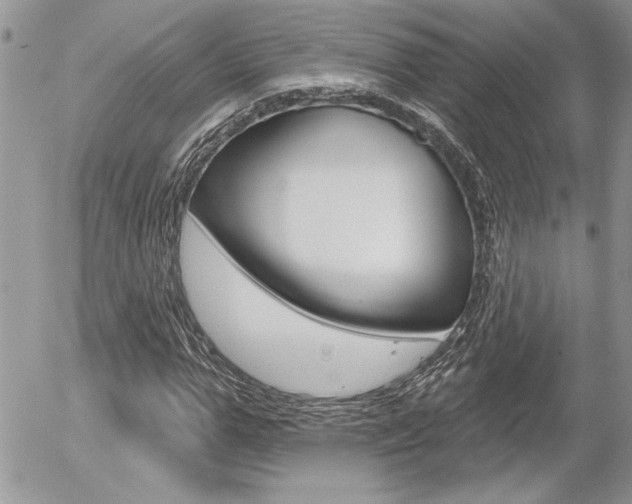 X0000056330967200508260821