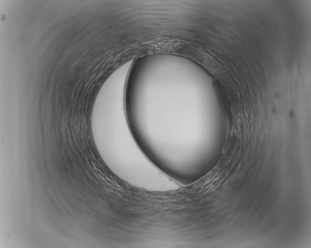 X0000056331010200508260820