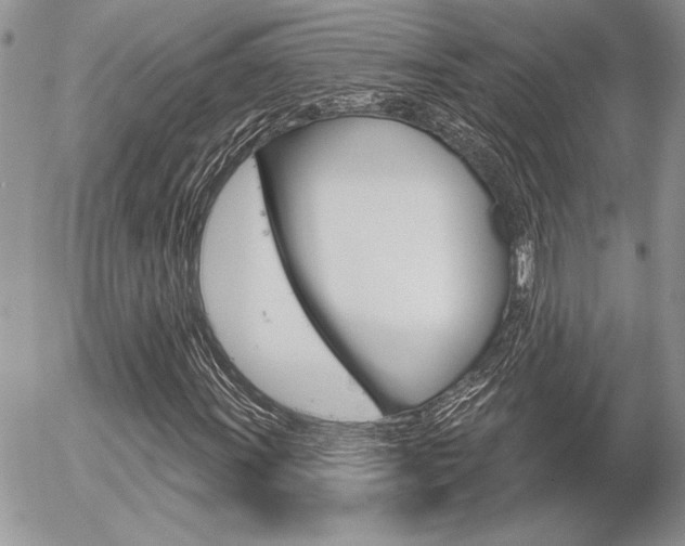 X0000056331011200508260820