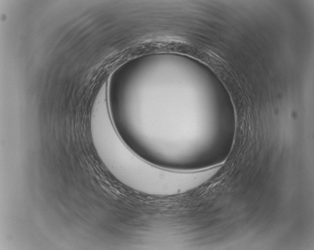 X0000056331014200508260820