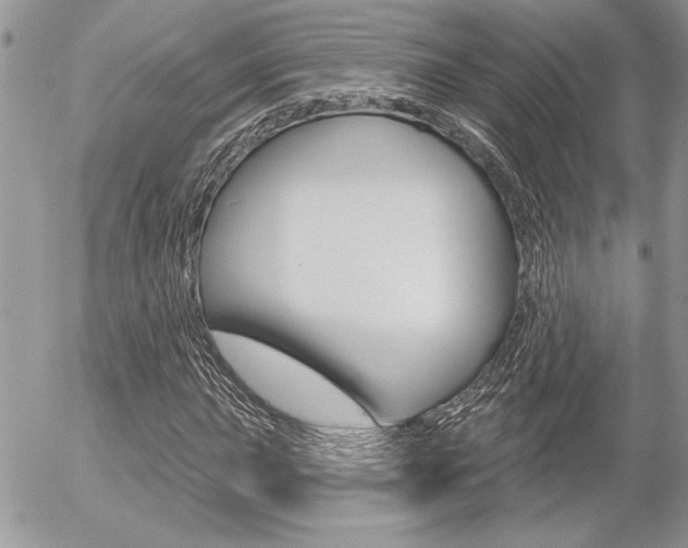 X0000056331015200508260820