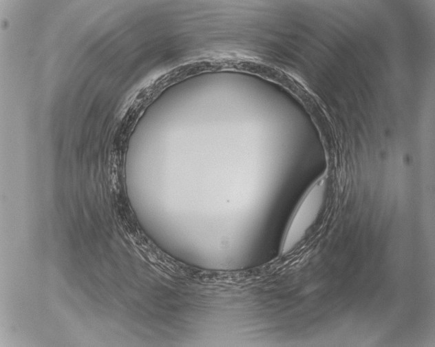 X0000056331016200508260820