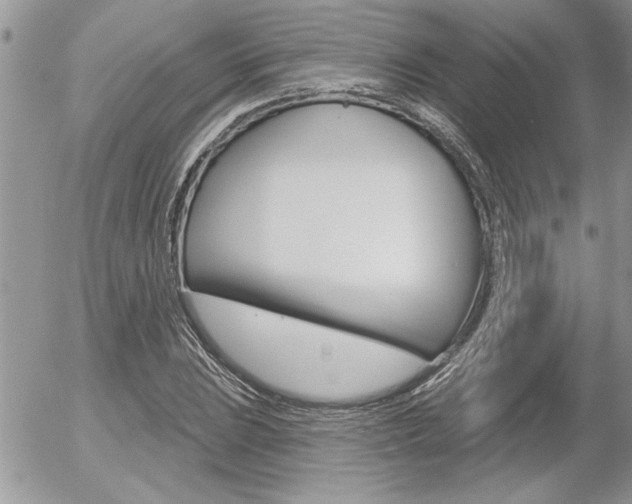 X0000056331023200508260820