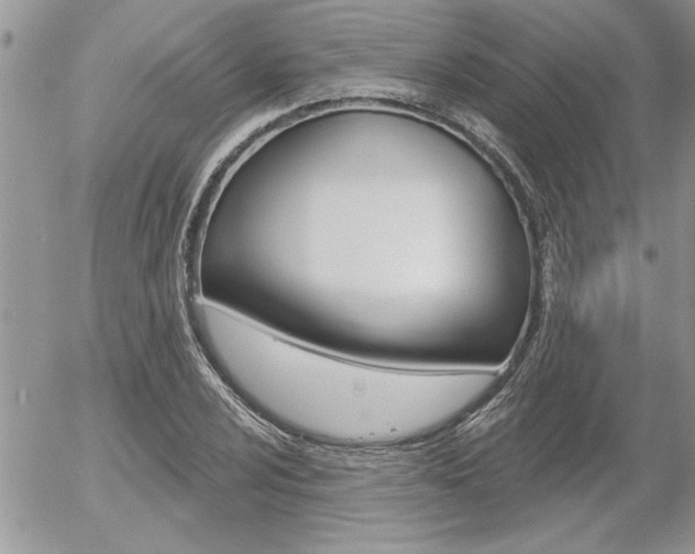 X0000056331024200508260820