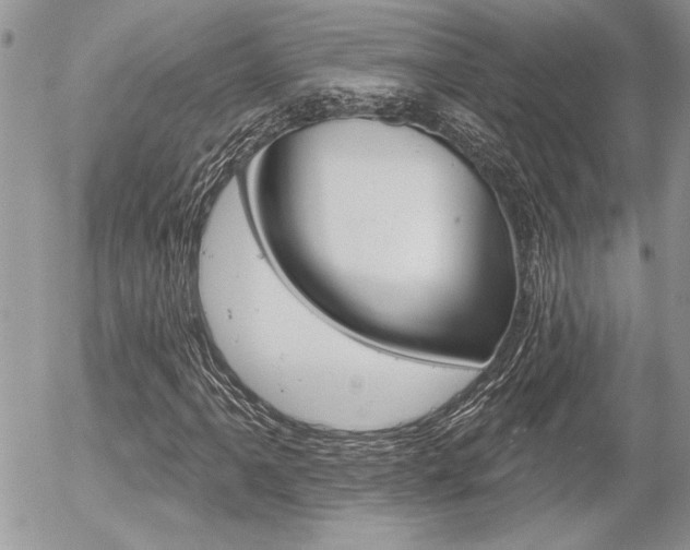 X0000056331061200508260820