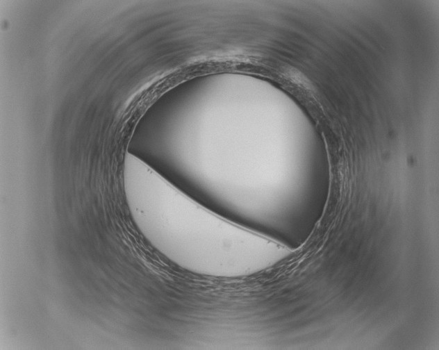 X0000056331064200508260820