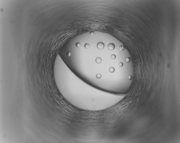 X0000056331105200508260818