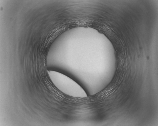 X0000056331106200508260818