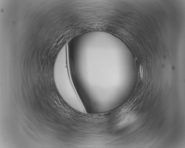 X0000056331107200508260819