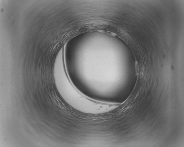 X0000056331108200508260819