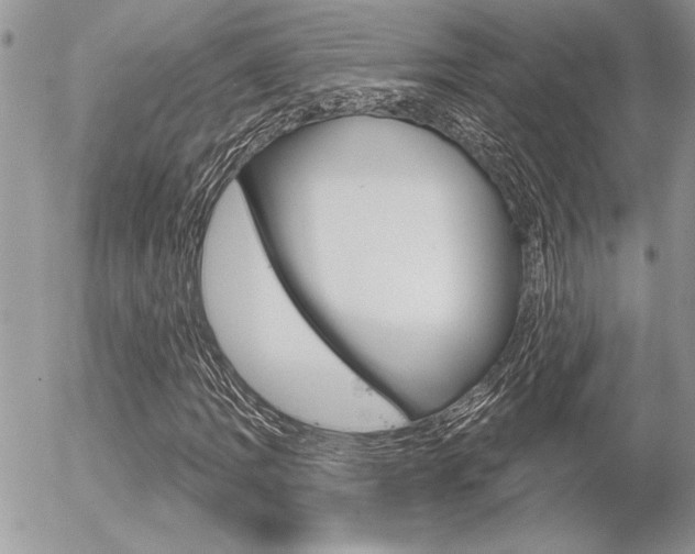 X0000056331109200508260819