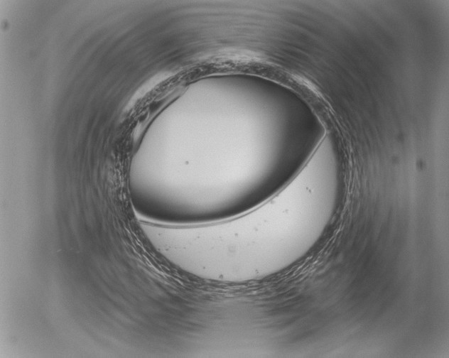 X0000056331112200508260819