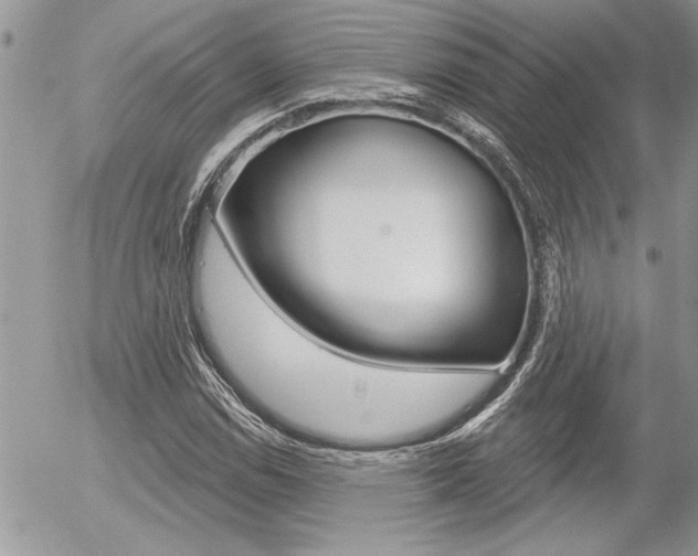 X0000056331114200508260819