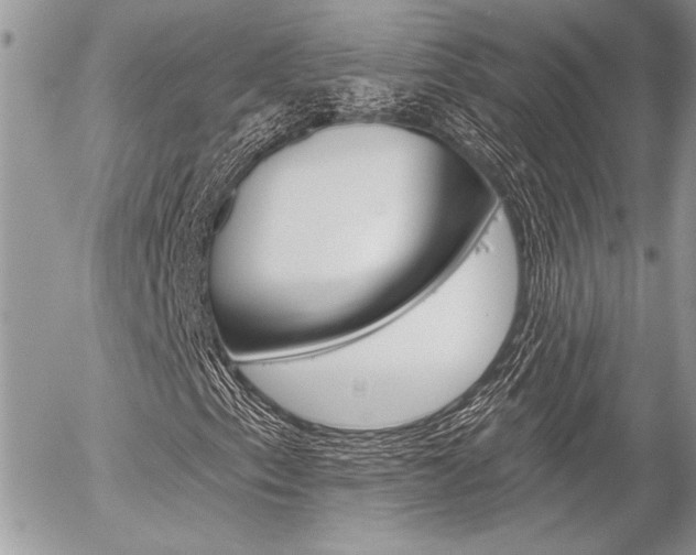 X0000056331153200508260818