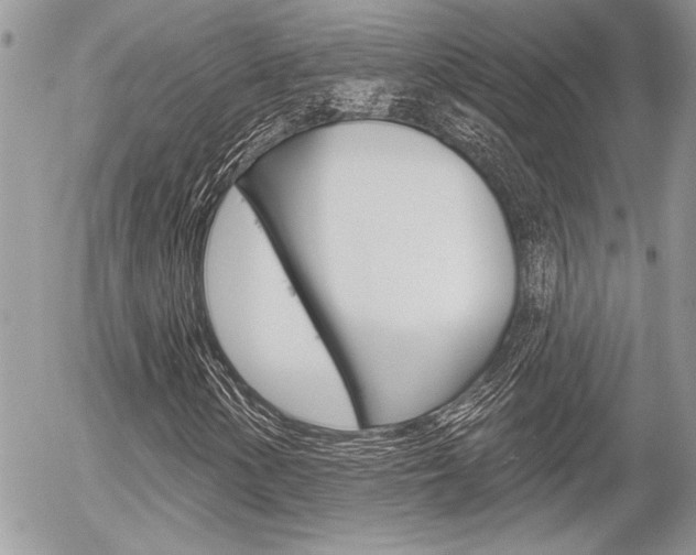 X0000056331154200508260818