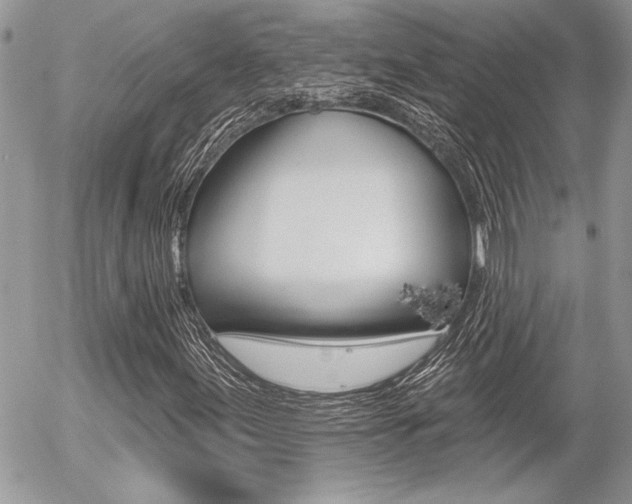 X0000056331155200508260818