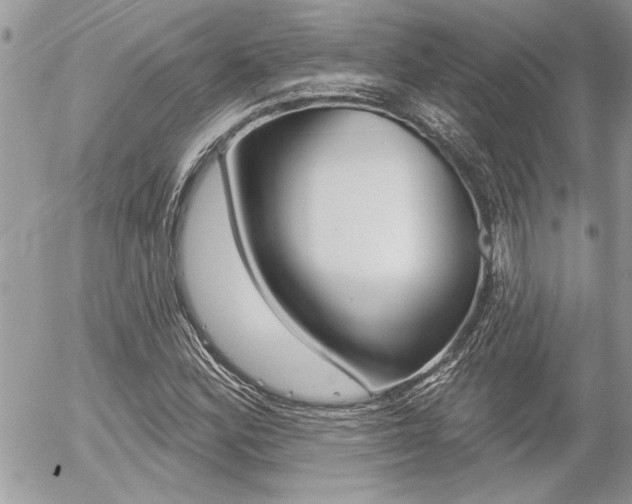 X0000056331164200508260818