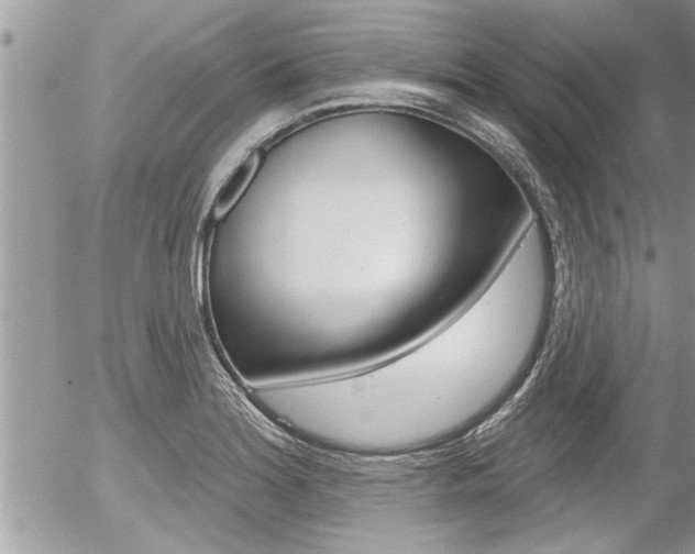 X0000056331180200508260818