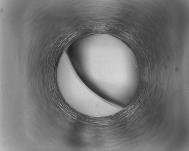 X0000056331201200508260817