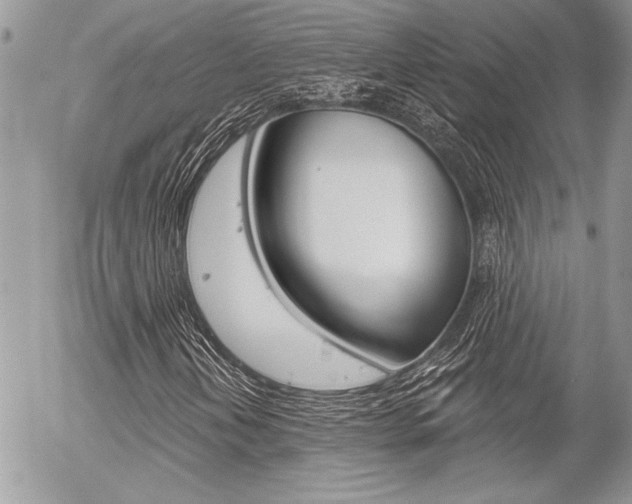 X0000056331202200508260817