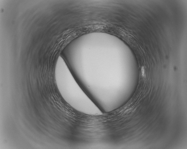 X0000056331203200508260817