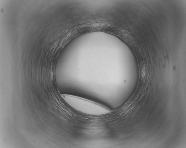 X0000056331204200508260817
