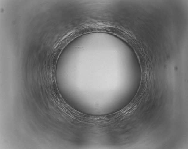 X0000056331205200508260817