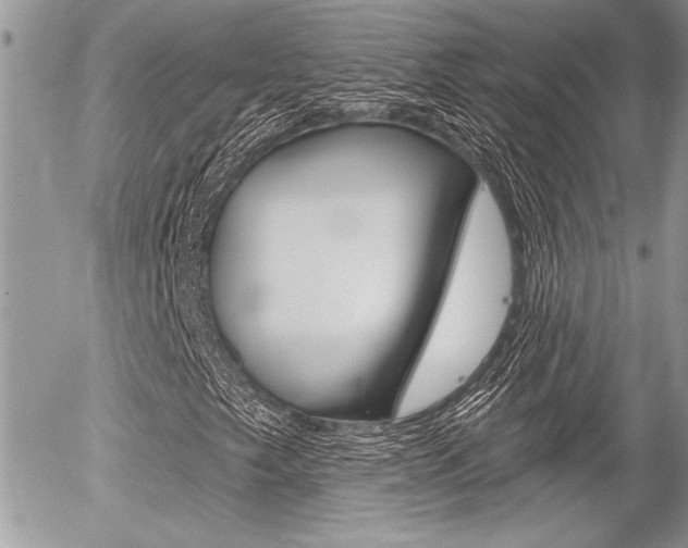 X0000056331249200508260817