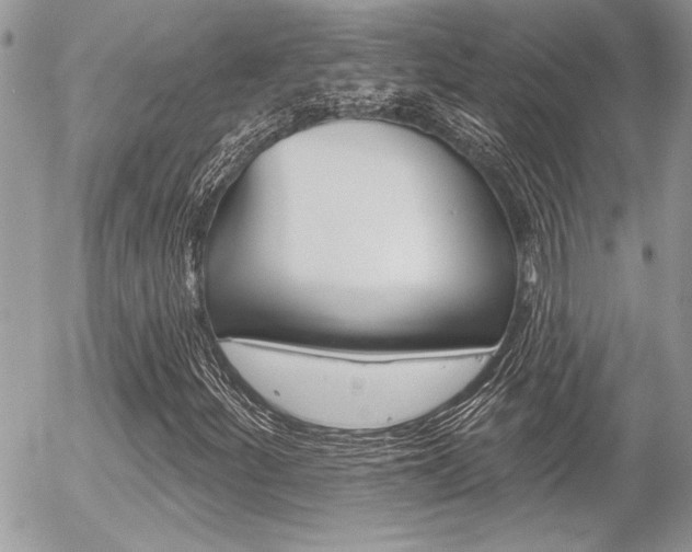 X0000056331252200508260817
