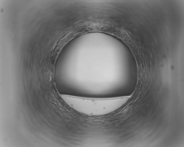 X0000056331253200508260817