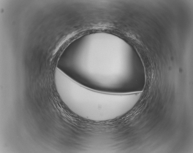 X0000056331256200508260817