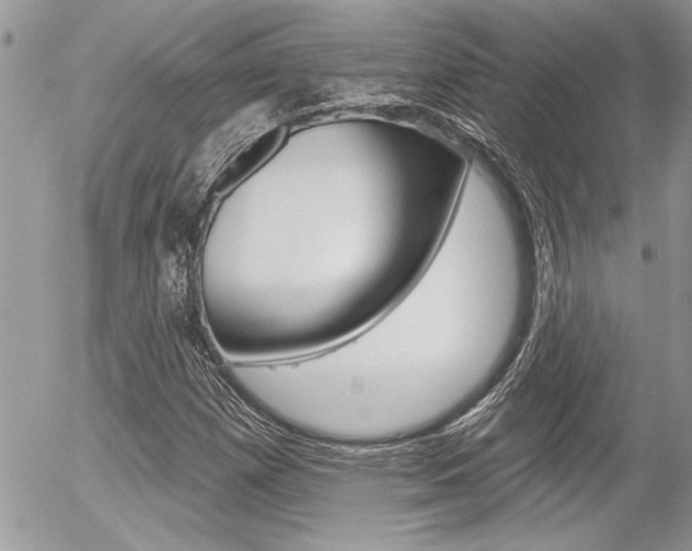 X0000056331257200508260817