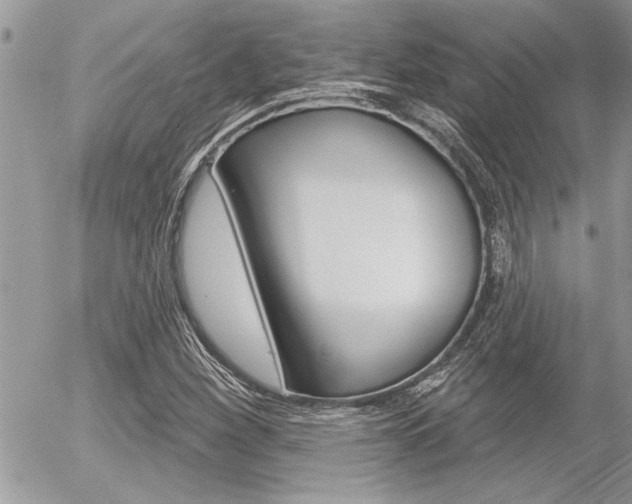 X0000056331260200508260817