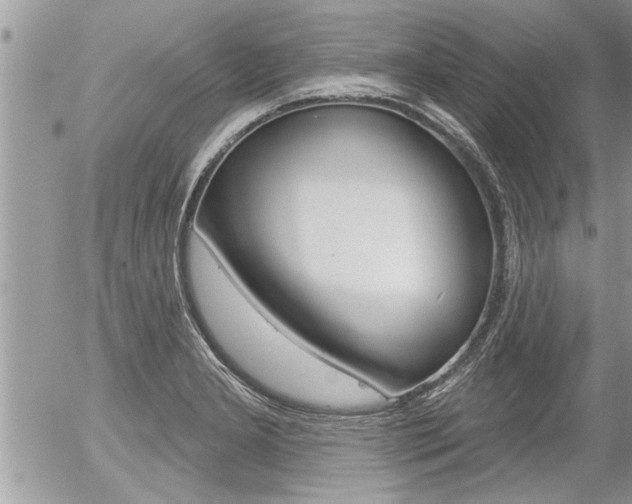 X0000056331277200508260816