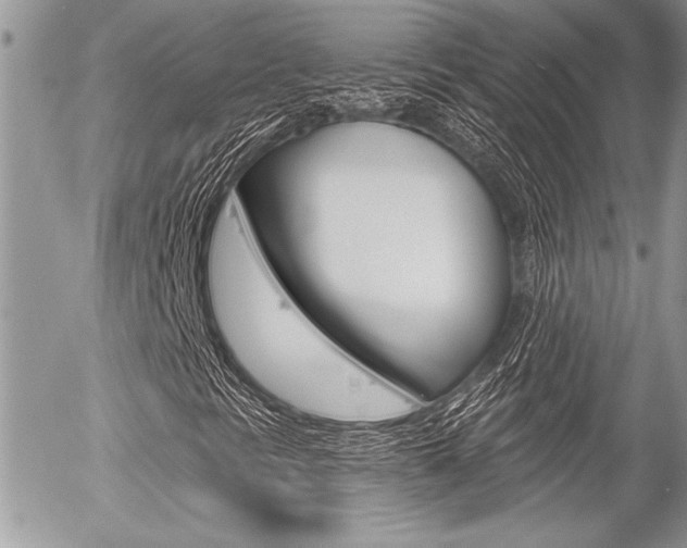 X0000056331297200508260815