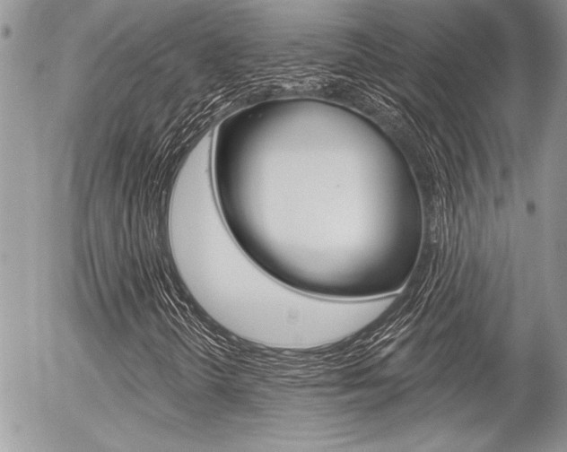 X0000056331298200508260815
