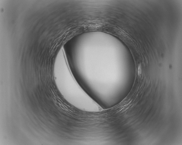 X0000056331299200508260815