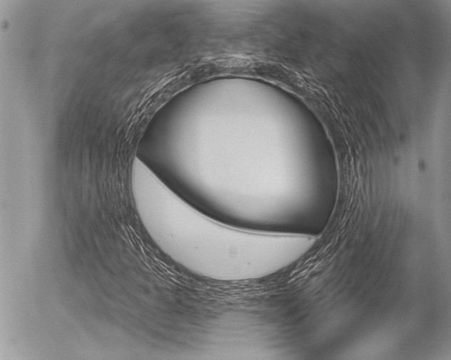 X0000056331301200508260815
