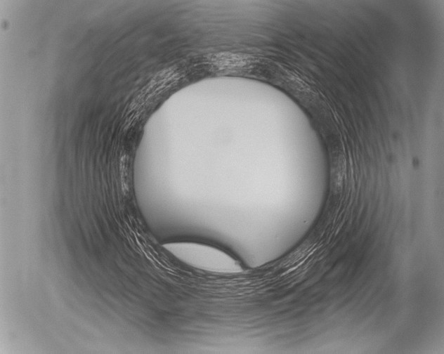X0000056331346200508260815