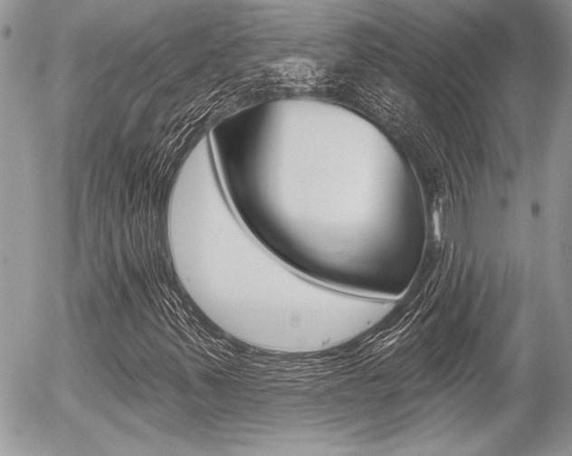 X0000056331347200508260815