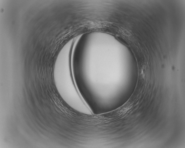 X0000056331348200508260815