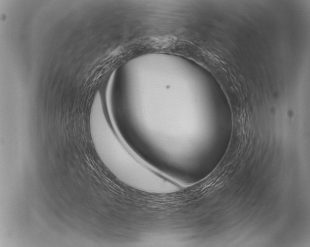 X0000056331349200508260815