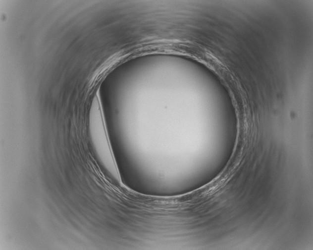 X0000056331354200508260815
