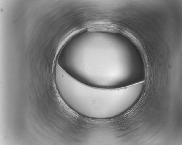 X0000056331392200508260815